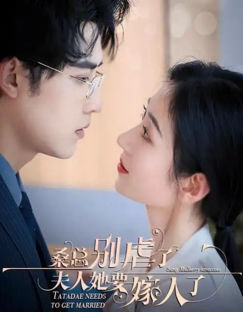 归城记事 热播电视剧免费观看